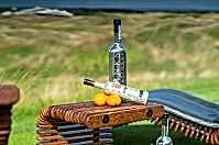 Business & Golf Lifestyle party